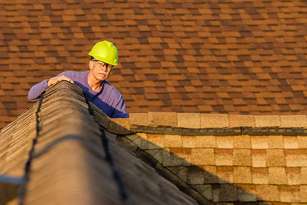 Best Roof Gutter Cleaning  in Trumansburg, NY