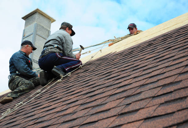 Best Roof Leak Repair  in Trumansburg, NY